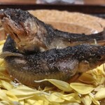 京天神 野口 - ●子持ち鮎