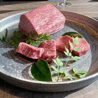 USHIGORO S. SHINJUKU - 