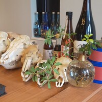 Restaurant Honjin - カウンターの一角