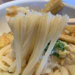 おうどん 瀬戸晴れ - 