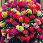 パークサイドダイナー - 