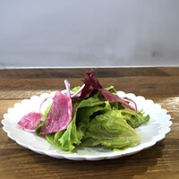 ricont - ◆共通「サラダ」