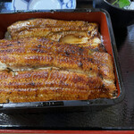 Unagi Takada - 