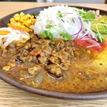 虹の仏 - ダルカレーとあいがけになっていて、ひよこ豆、
            ポールサンド、インゲン、コーン、大根の
            アチャールなど彩り鮮やかな副菜付き