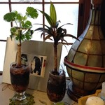 赤坂とん平 - グラス観葉植物♪