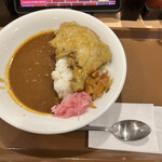 すき家 - ホロホロチキンカレー