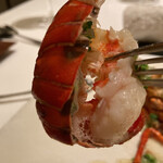 カンテサンス - 