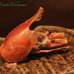 ながほり - エビの頭。