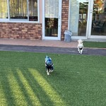 Karuizawa Hotel Soyokaze - 