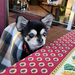 Karuizawa Hotel Soyokaze