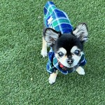 Karuizawa Hotel Soyokaze - 