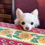 Karuizawa Hotel Soyokaze