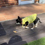 Karuizawa Hotel Soyokaze