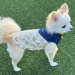 Karuizawa Hotel Soyokaze - 