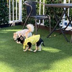 Karuizawa Hotel Soyokaze