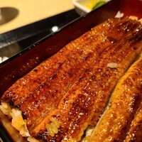 うなぎ 目白ぞろ芽 - 