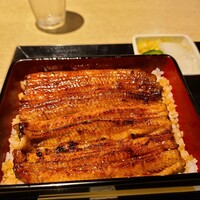 うなぎ 目白ぞろ芽 - 