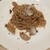 ハタケカフェ - イタリア産ポルチーニ茸のクリームソース　～黒トリュフの香りと共に～