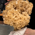 イル アオヤマ - 天然のハナビダケ　これでもともとの3分の1サイズ