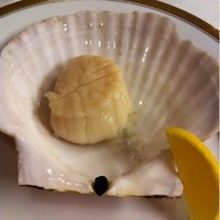 麤皮 - 