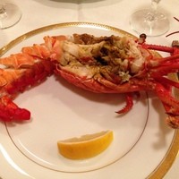 麤皮 - 