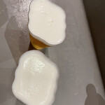 Papillon - 