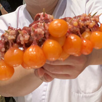 鳥さき - ちょうちん