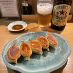 手作り餃子の店 吉春 - 吉春焼き餃子※その他の焼き餃子(ネギ・大根・玉ネギ・人参)も見た目は殆ど同じ