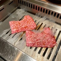 USHIGORO S. SHINJUKU - 