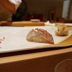 鮨 清松 - ⑤シマアジ（光ってる）