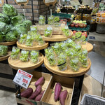 澤光青果 - 料理写真: