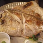 うみからそらへ - 