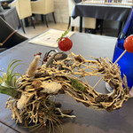 プレゼンテ スギ - 1 トマト飴