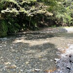 アントシカダ - 