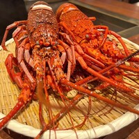 スガラボヴィー - 