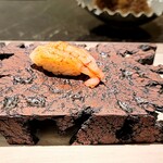 島津 - 甘海老（寿都）