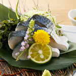 Marbled mackerel from Oita Prefecture