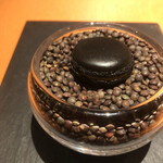 モノリス - 竹炭/人参/クミン