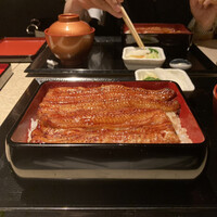 うなぎ 目白ぞろ芽 - 