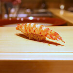 寿し おおはた - 車海老