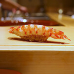 寿し おおはた - 車海老