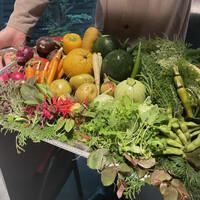 レフェルヴェソンス - 