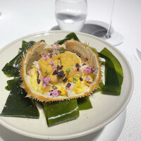 レフェルヴェソンス - 