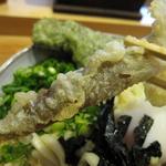 讃岐の男うどん 能勢 - 