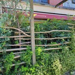 フォセッタ - 店舗