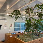 那覇そば処 たからまちがー - 内装　素敵