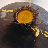 Fish Bank TOKYO - ウニのフラン