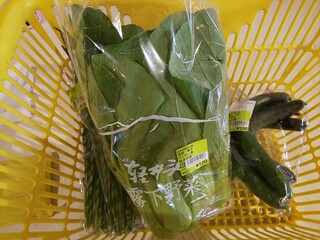 Karuizawa Hotchi Ichiba - Three items purchased