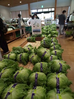 Karuizawa Hotchi Ichiba - Lettuce is also selling well!