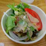 小さな食堂 ヒロ - カツカレーのセットのサラダ ※拡大 (2022.10.03)